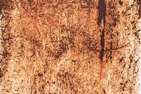 Grunge Rust Texture