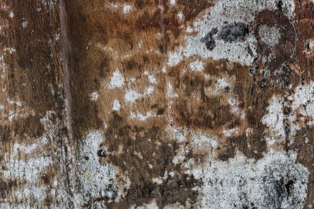 Grunge Wall Texture