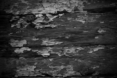 Grunge Wood Texture