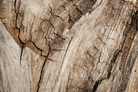 Grungy Cracked Wood