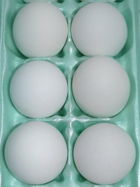 Half a Dozen Eggs