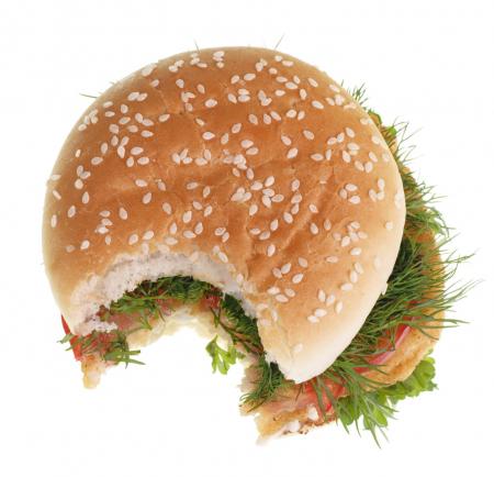 Hamburger with a bite