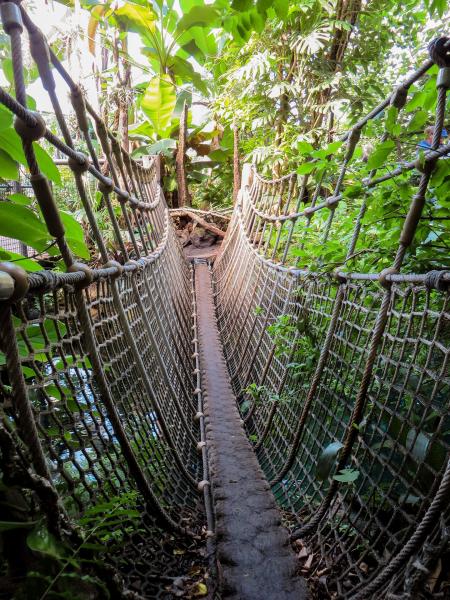 Hanging Bridge