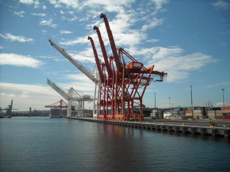 Harbor Cranes