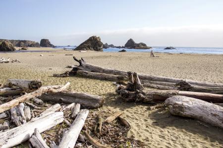 Harris Beach Oregon