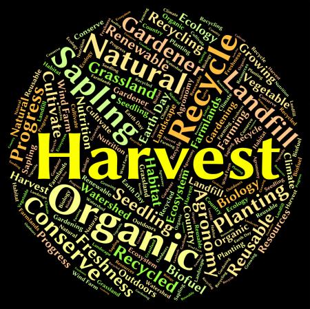 Harvest Word Means Produce Grains And Gather