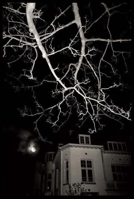 Haunted house at night