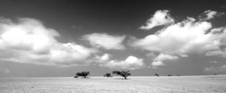 HAWAII - 2017 - B&W (17)