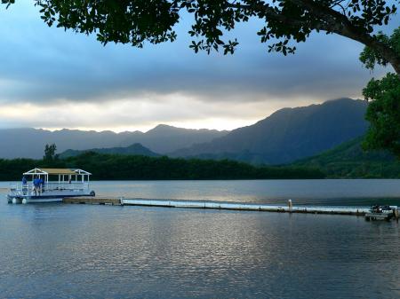 Hawaiian Memory