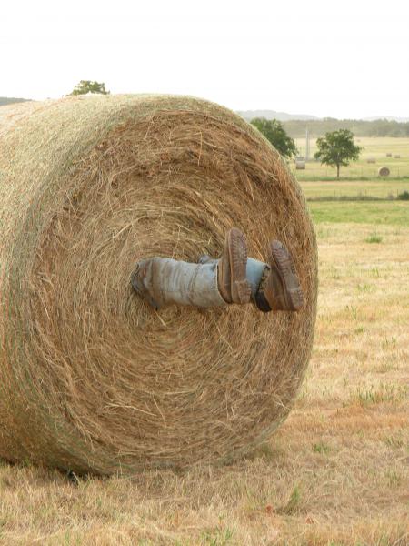 Hay Bale Humor