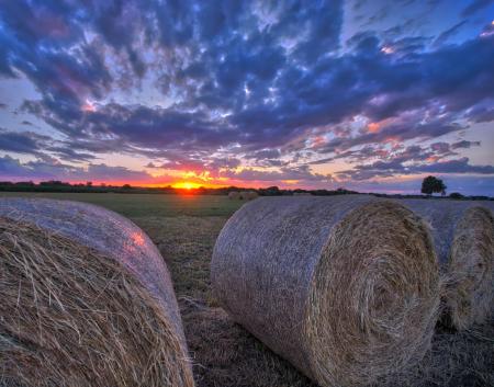 Hay Bales at Sunset