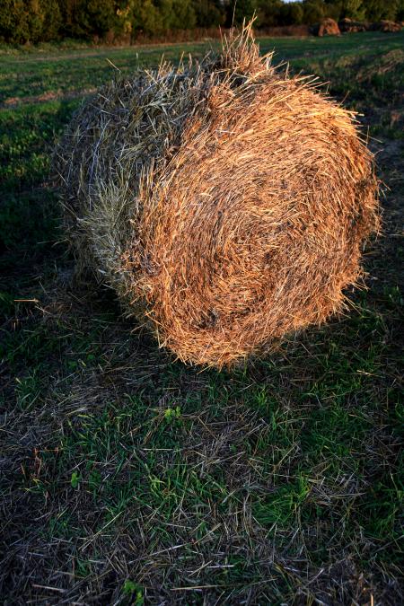 haystack