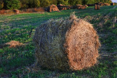 haystack