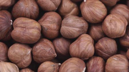 Hazelnut Closeup