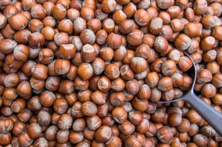 Hazelnuts pattern background texture