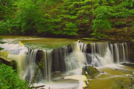 Hd Photography of River Surrounded With Trees