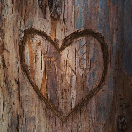 Heart on wood