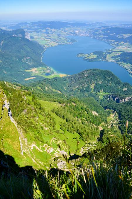 High Angle Photography of Green Grass and Tree Covered Mountain