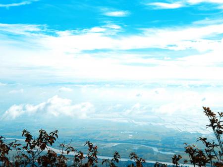 High Angled Photo of Green Leaf Plants in Distant of 2 Rivers Near Green Grass Field
