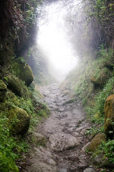 hiking trail going on the mountain in th
