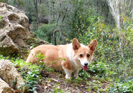 Hiking with Sun