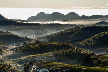 Hills Covered by Forest and Fogs