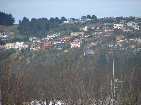 Hills of Dunedin