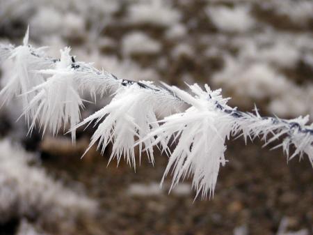 Hoarfrost