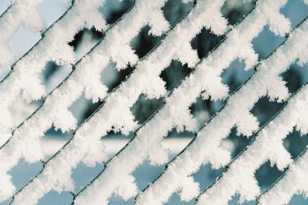 Hoarfrost on the Fence