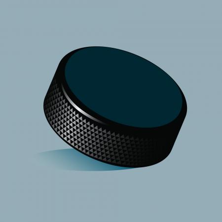 Hockey Puck