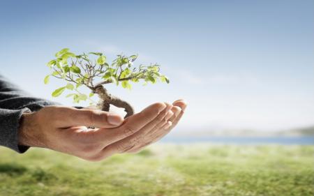 Holding a Tree