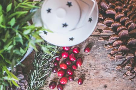 Holly Plant Berries Beside White Lantern