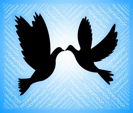 Honeymoon Doves Indicates Love Birds And Destination