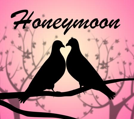 Honeymoon Doves Means Love Birds And Break
