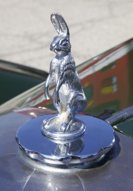 Hood ornament