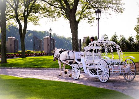 Horse Carriage