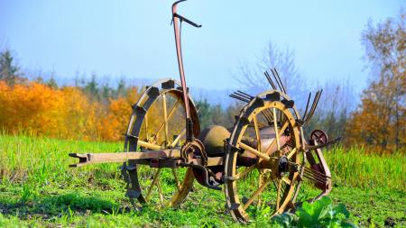 Horse Cart on Field Against Sky