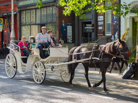 Horse drawn cart on dawson street dublin
