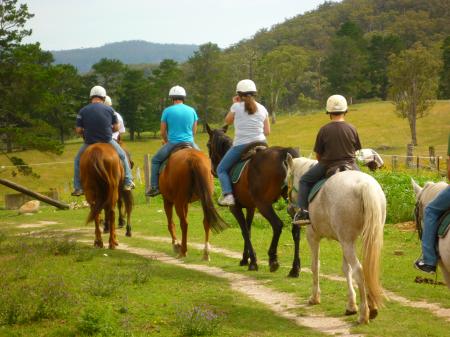 Horse Ride