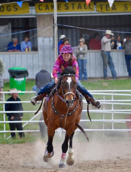 Horse Rider