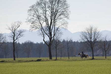 Horse Riding