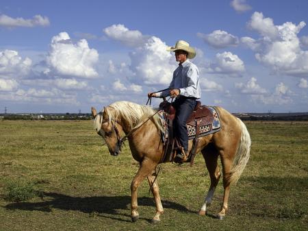 Horse Riding