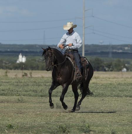 Horse Riding