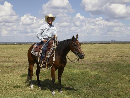 Horse Riding