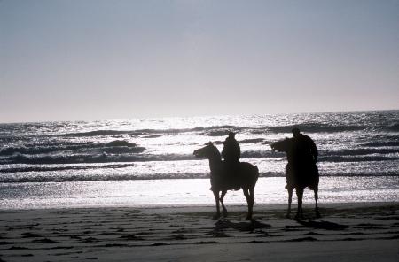 Horse Riding on the Shore