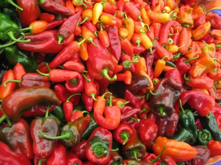 Hot red pepper