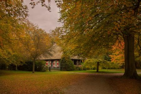 House in the Forest