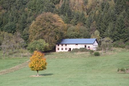 House near the Woods