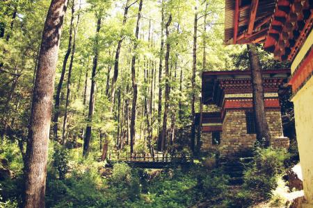 House Near Trees With Bridge Photo