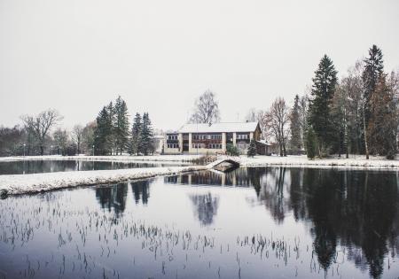 House Surrounding by Trees and Body of Water Photography